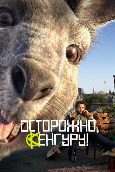  Осторожно, Кенгуру!  постер