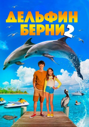  Дельфин Берни 2  постер