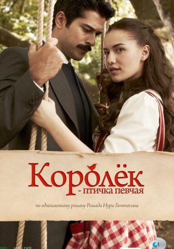  Королёк – птичка певчая  постер