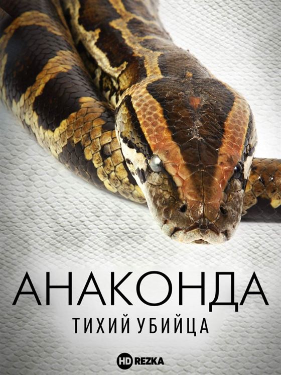 Анаконда: Тихий убийца постер