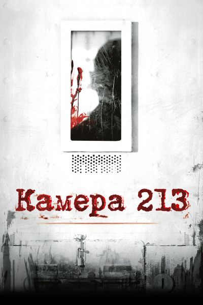 Камера 213 постер