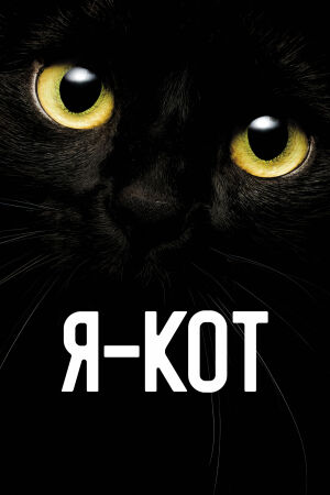 Я — кот постер